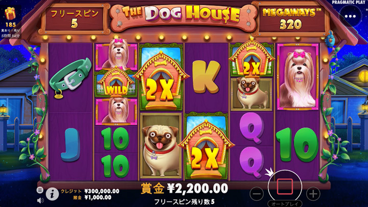 bons The-Dog-House-Megaways-slots-game